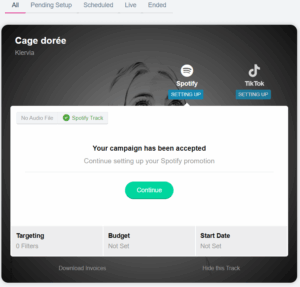 promotion playlist push