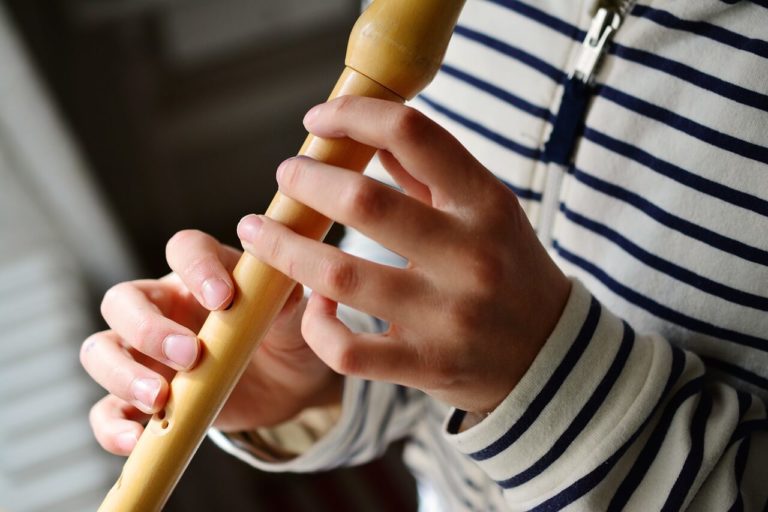 Instruments de musique faciles à apprendre Dream it yourself musician