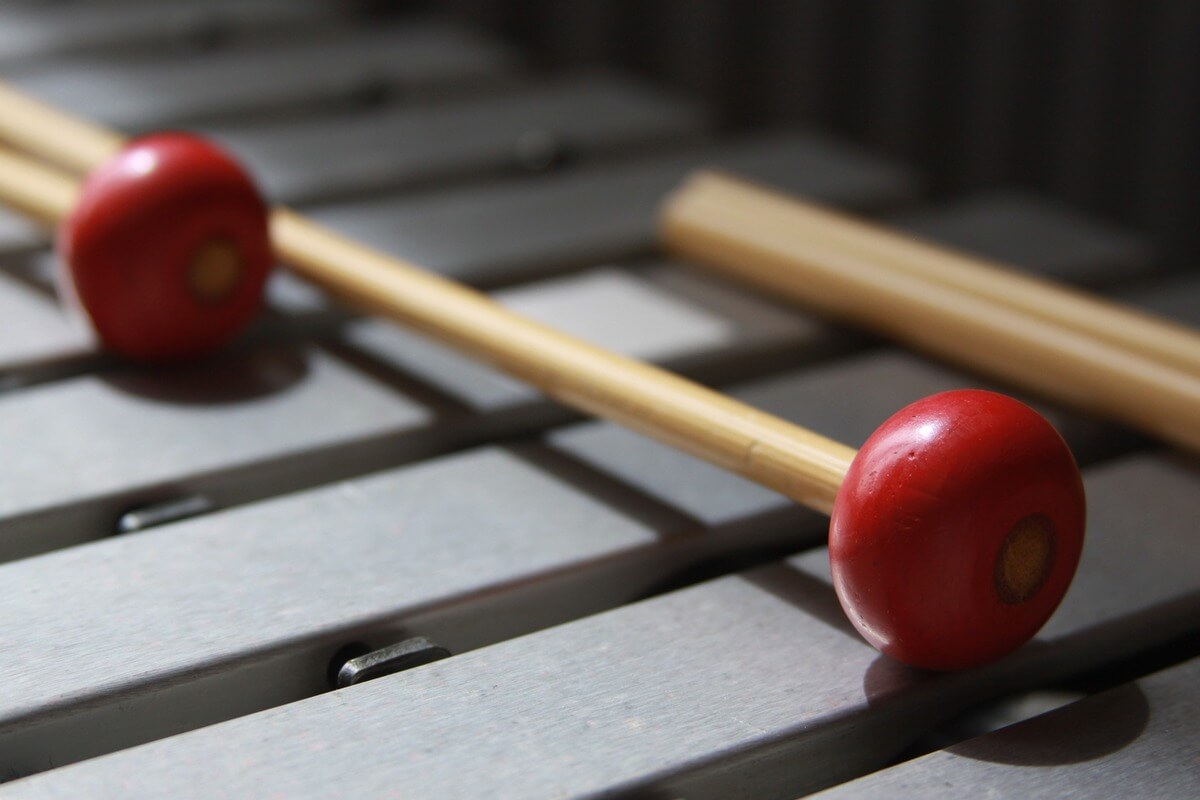 Instruments de musique faciles à apprendre Dream it yourself musician